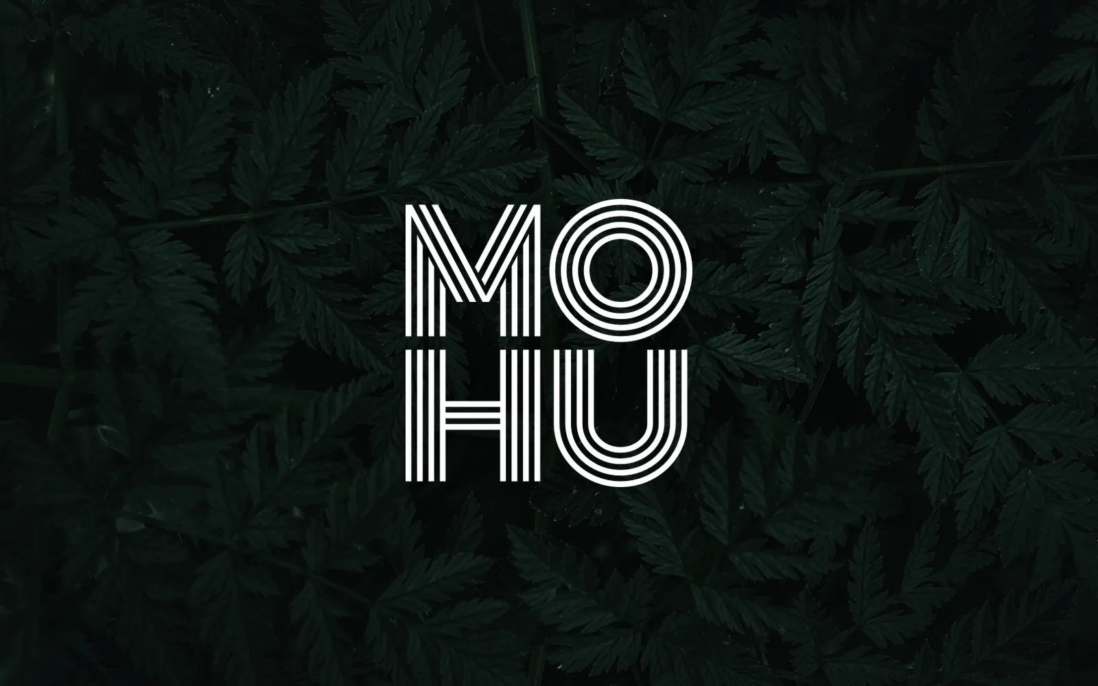 Mohu