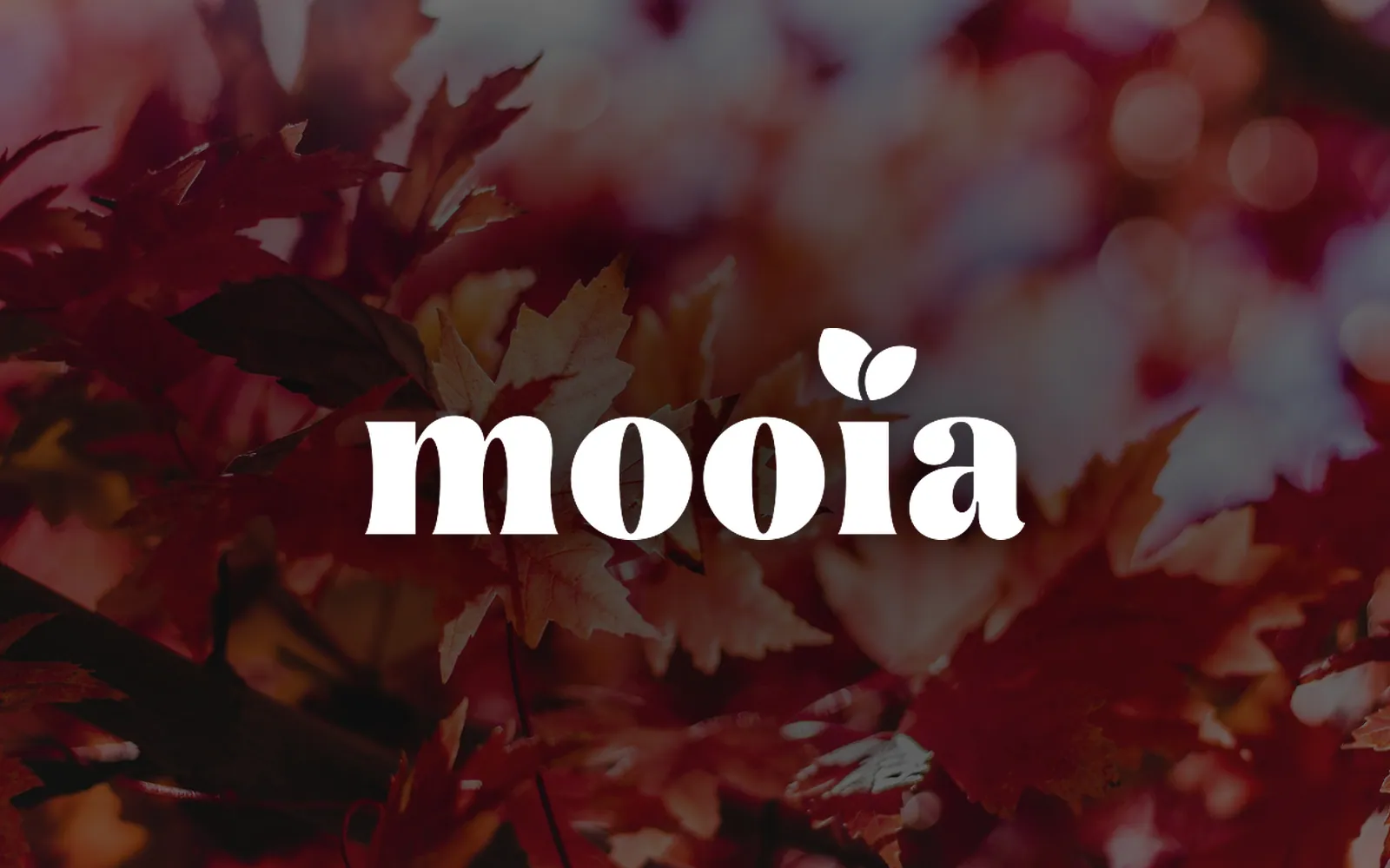 Mooia