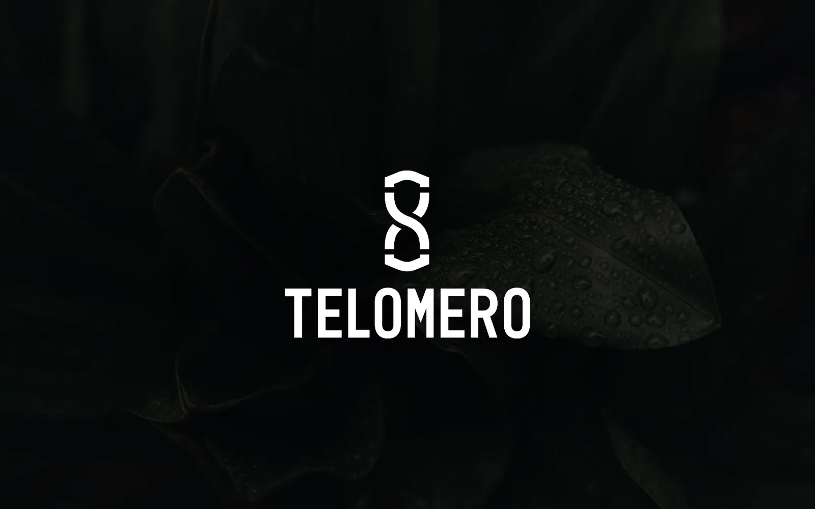 Telomero